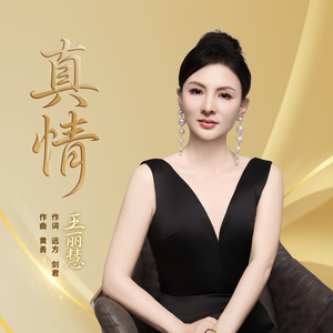 真情（纯音乐伴奏）