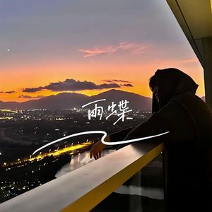 雨蝶（释怀版）