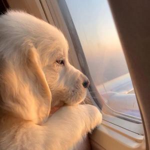 好姑娘&月亮惹的祸 (DJ弹鼓版)