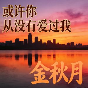 或许你从没有爱过我