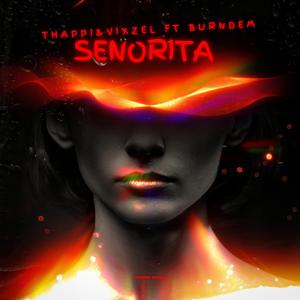 Senorita (feat. Lil vixzel & Burndem)