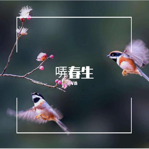 哢春声_Final
