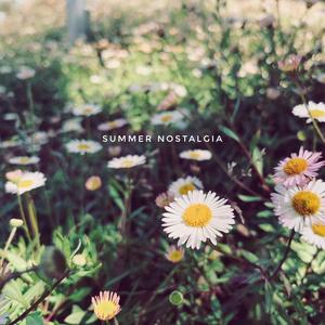 Summer Nostalgia