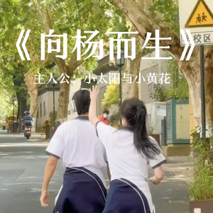 向杨而生(小太阳与小黄花)