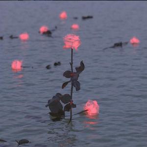 Killa feat. Dizkar（cover夏之禹）