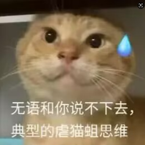 致两千年后的哈基米