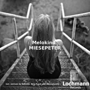 Miesepeter (Nico Pusch Remix)