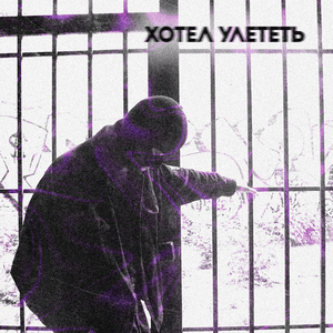 Хотел улететь