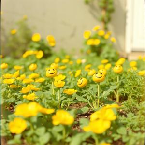 웃음이 자라는 텃밭