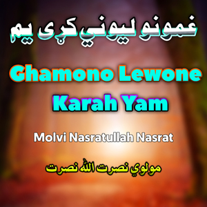 Kho Chye Tajh Me Her