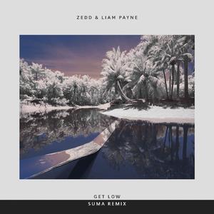 Liam Payne-Get low（栖真 remix）