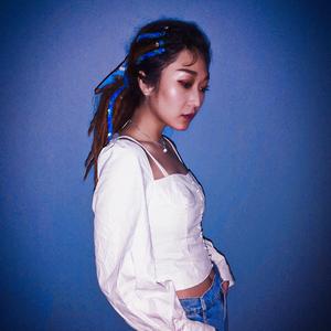 费翔-故乡的云双语版伴奏