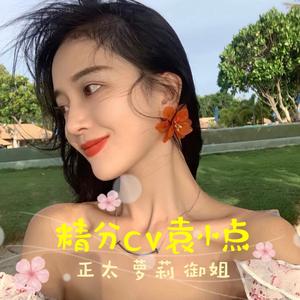 当遇见你CV袁点点