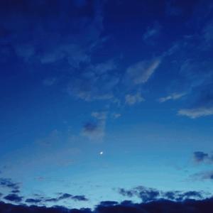 Lost you（翻自 Xines）