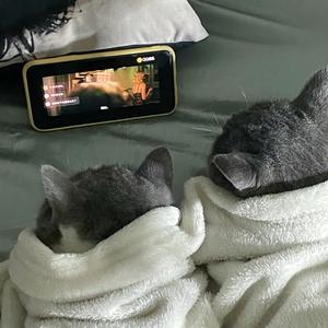 别怕变老（cover王以太艾热）