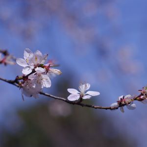 "活在梦中"