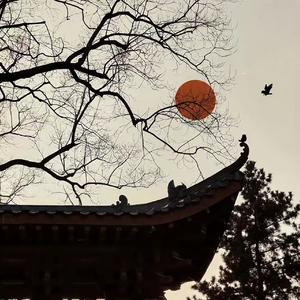 千年（女声版）