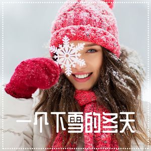 一个下雪的冬天