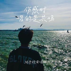 阿拉斯加海湾【低音女声版】（翻自 菲道尔）