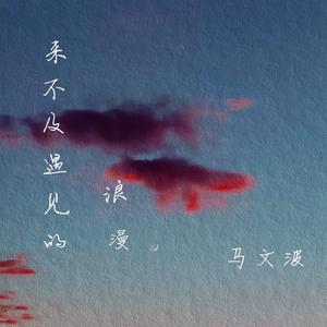 来不及遇见的浪漫