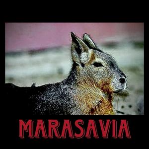 Pincha (sesion pepperland)