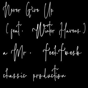 Never Give Up (feat. Winter Havens)