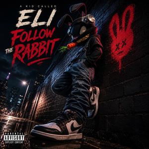 Follow the Rabbit