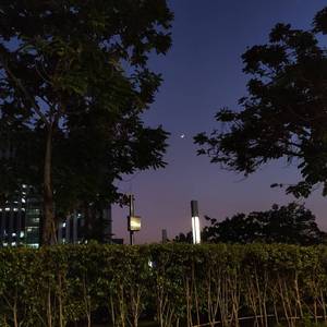 凤凰花开的路口（cover：林志炫）