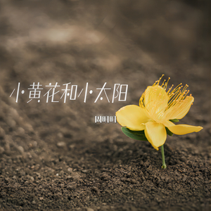 小黄花和小太阳