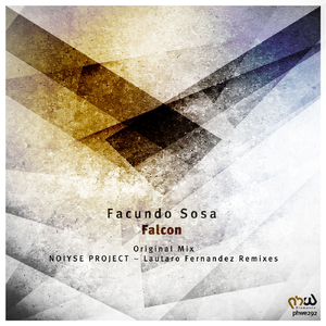 Falcon (NOIYSE PROJECT Remix)