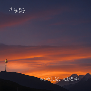 假如晚点遇到你