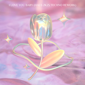 I Love You Baby (HAUS 2K25 Techno Rework)