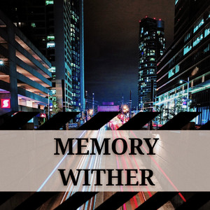 Memory Wither(记忆凋零)