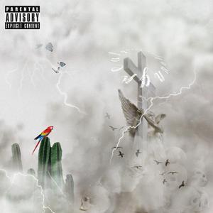 钻石 （Diamond）