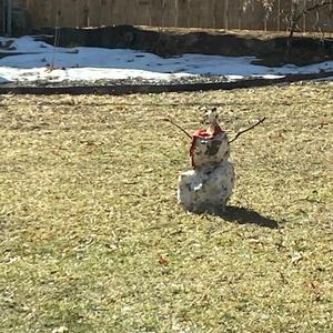 flirting with strangers on the internet