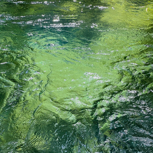 没有目的地爱了