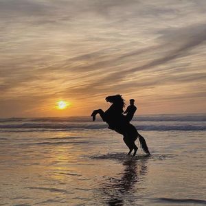 星眸月貌醉心田