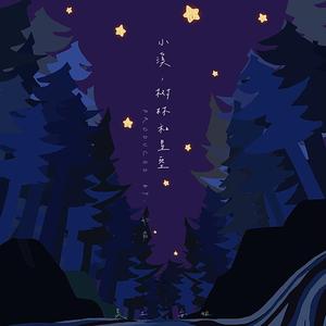 小溪，森林和星空