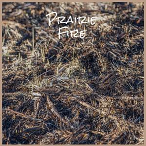 I Loved You Better Than You Knew