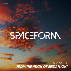 From the Heigh of Birds Flight