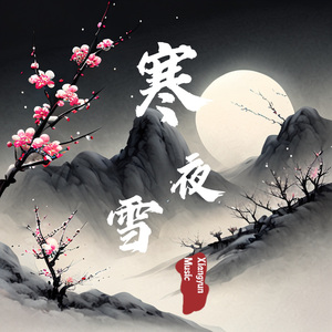 寒夜雪