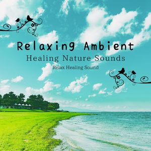 特別な空間-癒しの自然音-