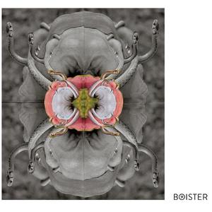 Goddess of the Baltimore in Your Mind