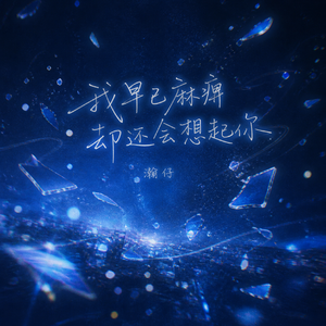 我早已麻痹却还会想起你(DJ铁柱版)