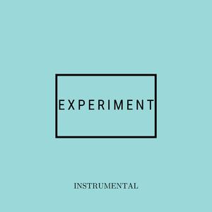 EXPERIMENT