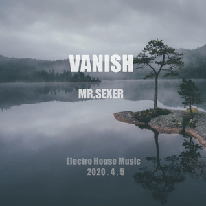 Vanish (Radio Mix)