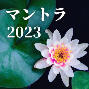 落ち着きを取り戻す