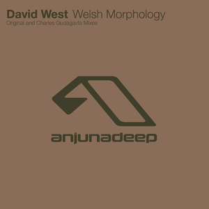 Welsh Morphology (Original Mix)