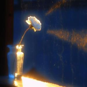 Erykah Badu X R&B X Neo Soul Type Beat "Used To"