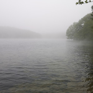 1000 Die Mein Namen Kenn